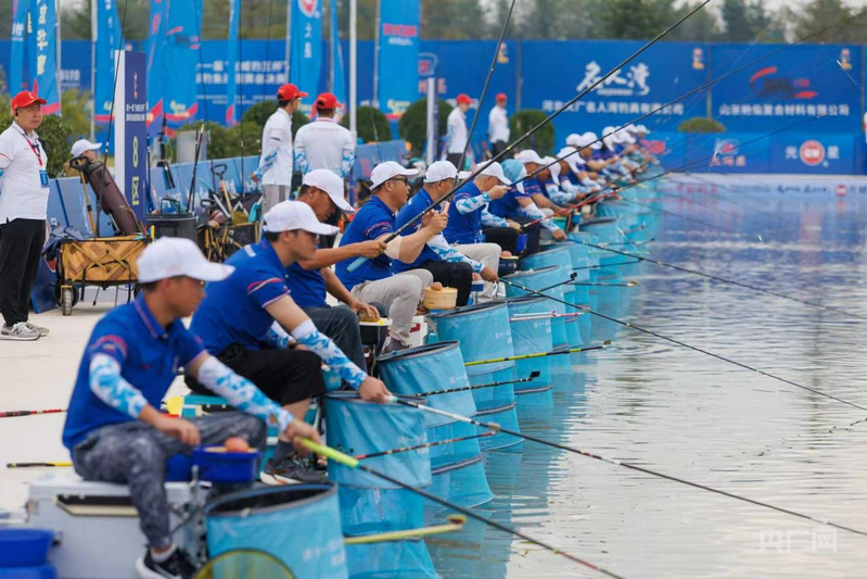 工具的细分, 较低 工具的细分, 较低